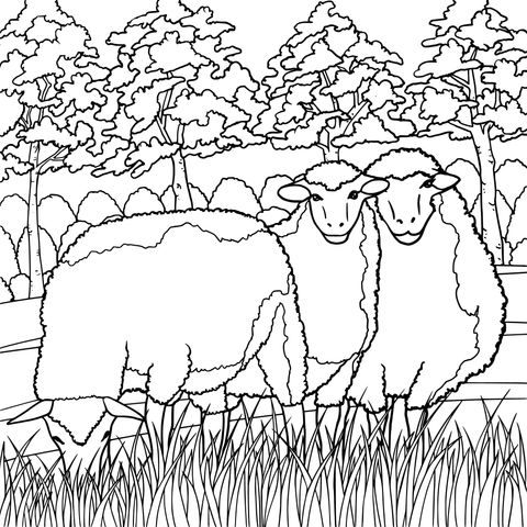 Pastoral Sheep Coloring Page