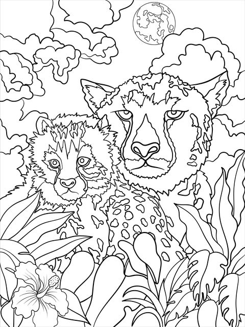 Mother - cub Cheetahs Under the Moonlit Night Coloring Page