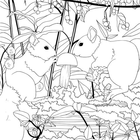 Forest Coloring Page with Squirrels and Mushroom