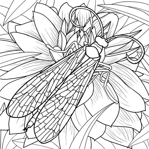 Coloring Page of a Color - Winged Insect and Flower