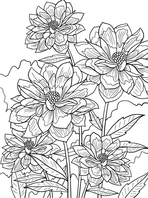 Dahlia Coloring Page