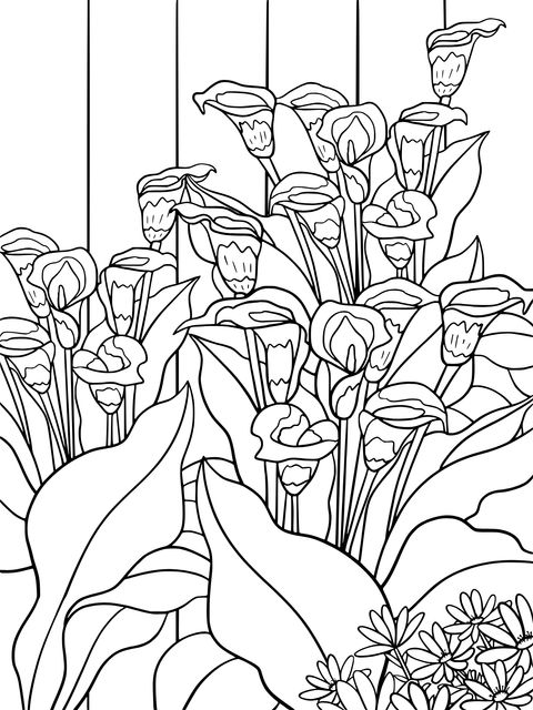 Coloring Page of Calla Lily Flower Cluster