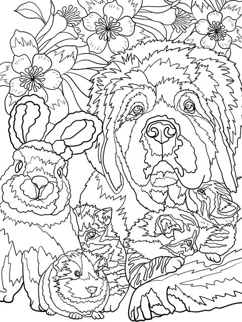 Adorable Animal Gathering Coloring Page