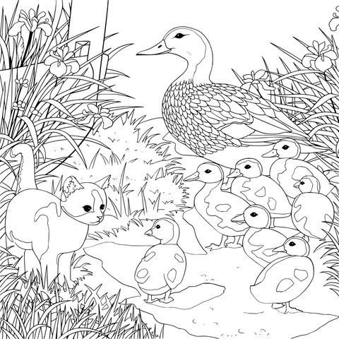 Coloring Page of a Cat, a Mother Duck and Ducklings