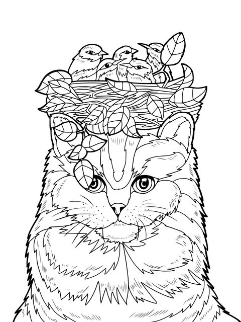 Coloring Page of a Cat with a Bird's Nest on Its Head