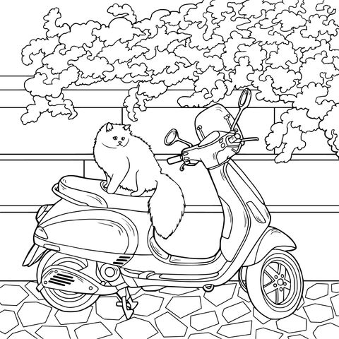 Coloring Page of a Cat and a Pink Scooter