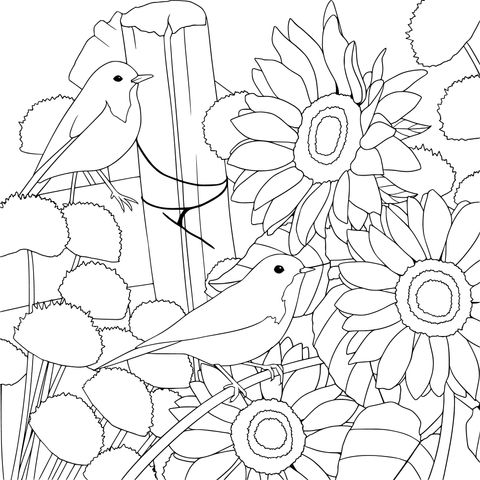 Flower and Bird Coloring Page