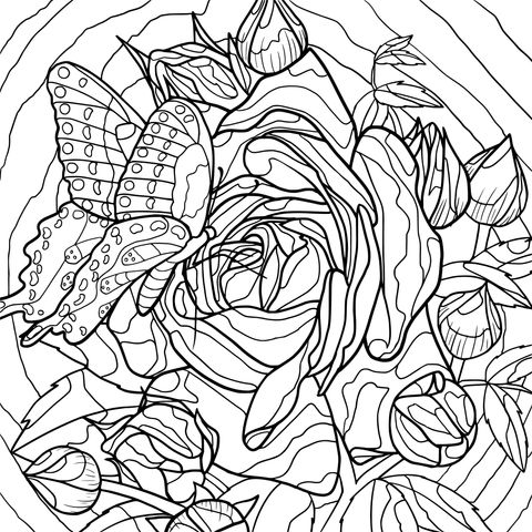 Página de colorear de mariposa y rosa