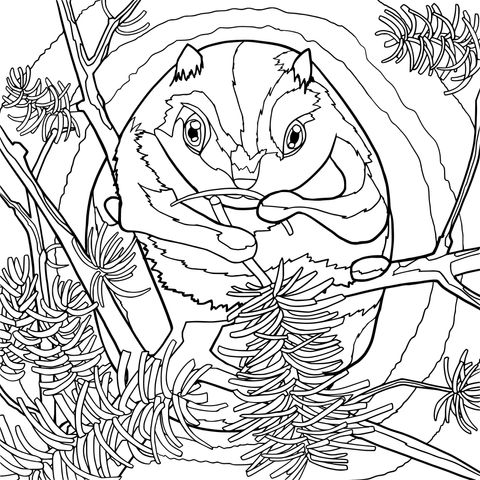 Cute Squirrel on a Branch Coloring Page