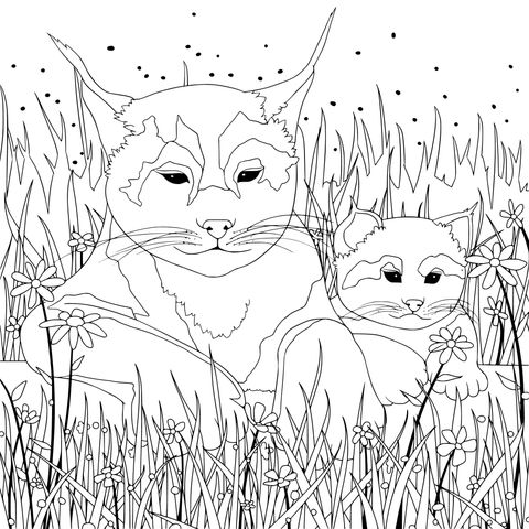 Lynx Mother and Cub Resting in the Meadow Coloring Page