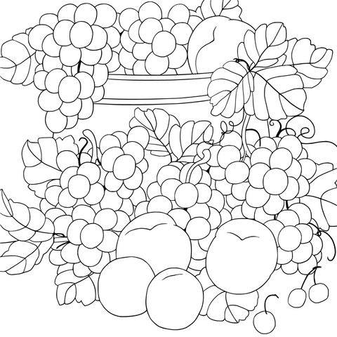 Página de colorir com tema de frutas: Frutas coloridas e folhas verdes