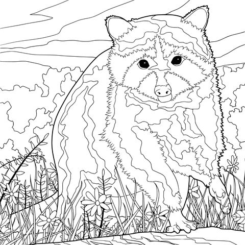 Cute Raccoon Coloring Page