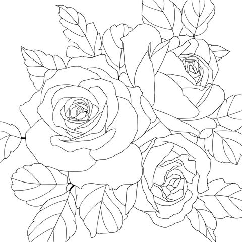 Beautiful Rose Coloring Page