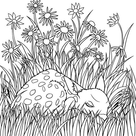 Coloring Page of a Resting Fawn in the Grass