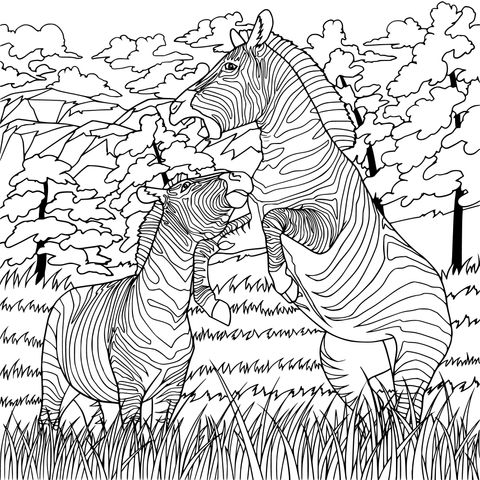 Zebra Interaction Scene Coloring Page