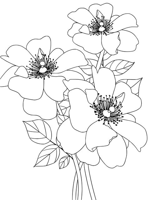 Illustration of Purple Flowers