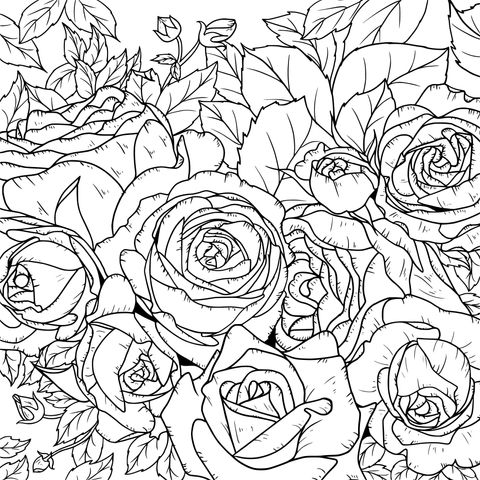 Rose Coloring Page Pattern