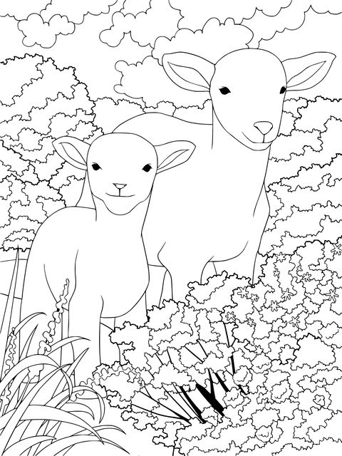 Adorable Lambs in the Countryside Coloring Page