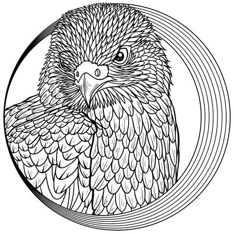 Eagle Coloring Page: Showcase the Feather Style