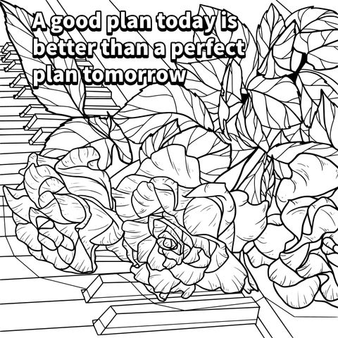 A Good Plan Today Is Better Than a Perfect Plan Tomorrow