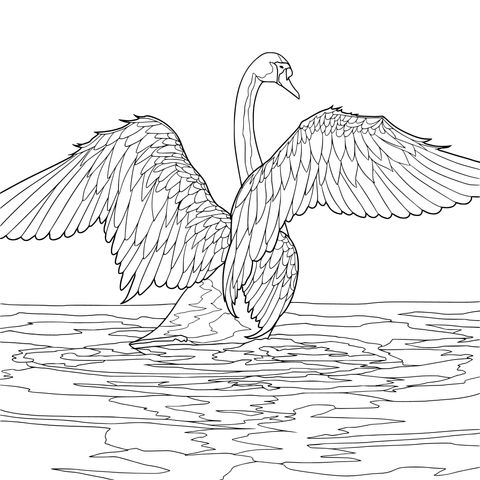 Dreamy Purple - feathered Swan Coloring Page