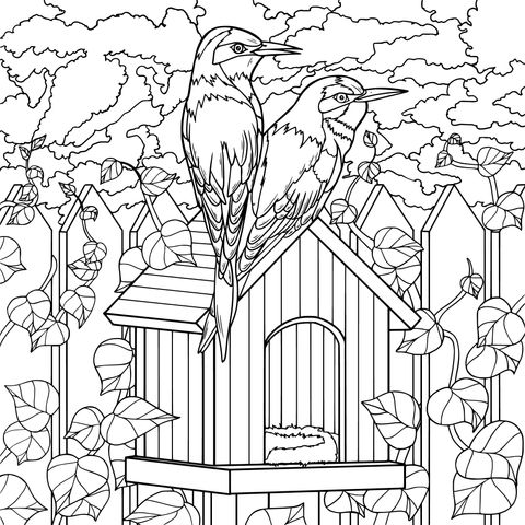 Colorful Birds and Birdhouse Coloring Page