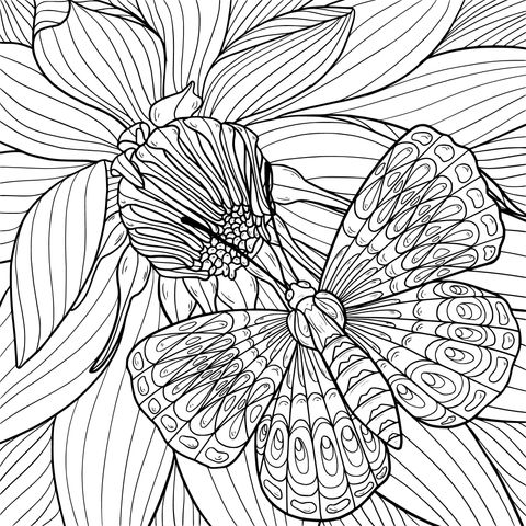 Página para colorear de hermosa mariposa y flor