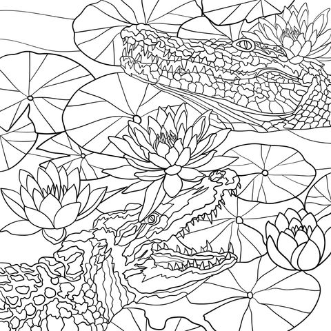 Alligators and Water - lilies Coloring Page