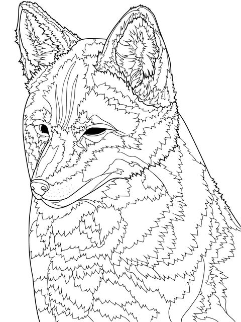 Cute Fox Coloring Page