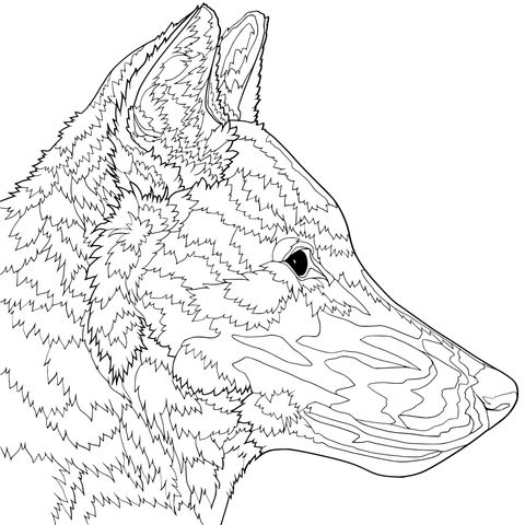 White Wolf - Themed Coloring Page