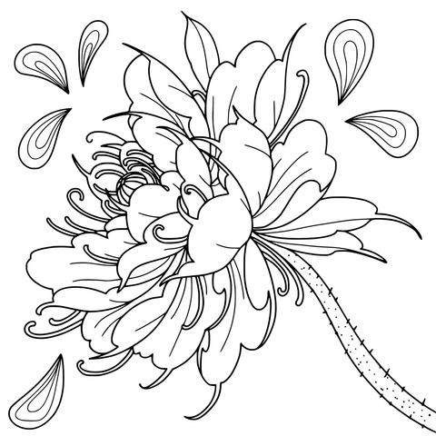 Beautiful Yellow Flower Coloring Page