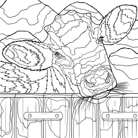 Cute Calf Coloring Page