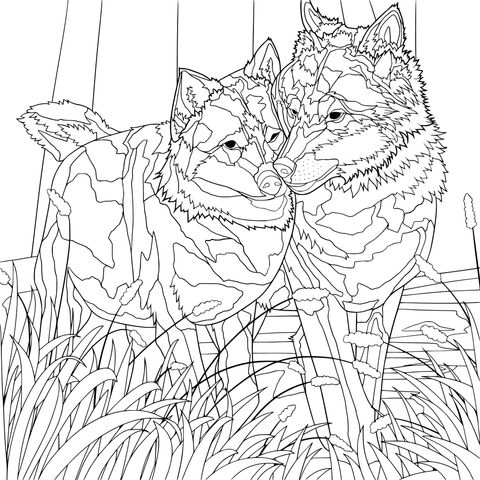 Romantic Wolf Partners Coloring Page