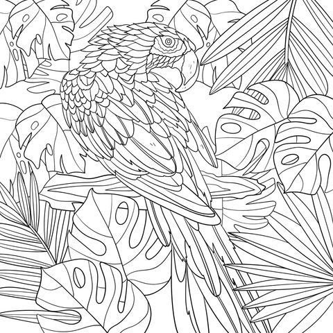 Colorful Parrot Coloring Page