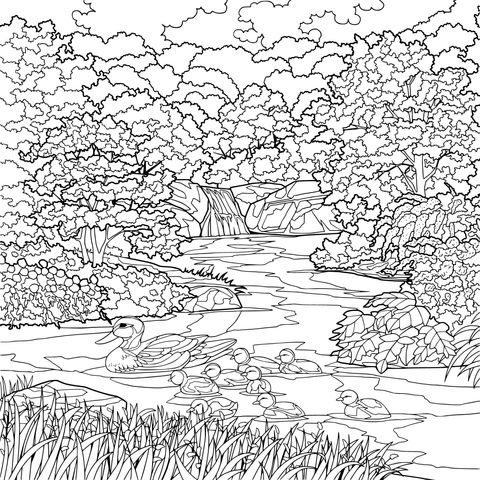 Beautiful Nature Scene Coloring Page of a Mother Duck and Ducklings