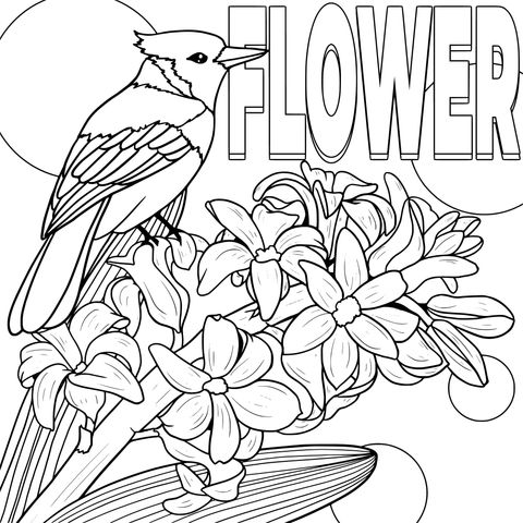 Página para colorear de flores y aves