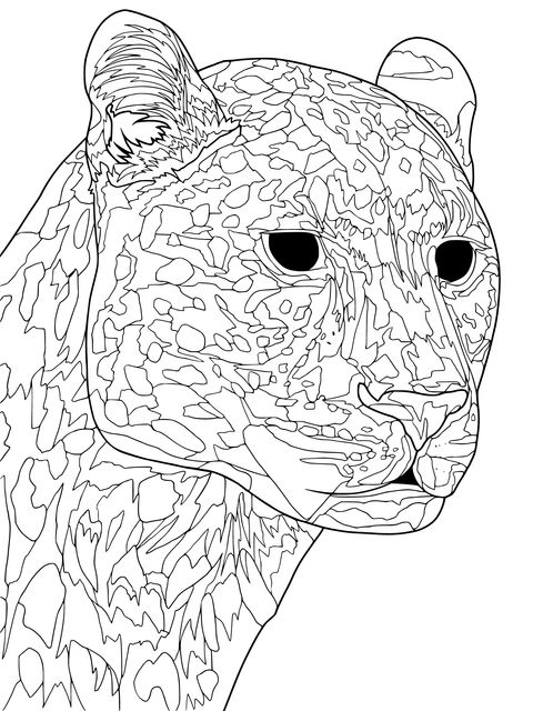 Leopard Coloring Page: Show the Wild Beauty