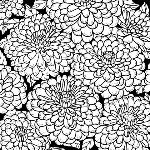 Colorful Chrysanthemum Coloring Page