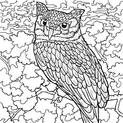 Owl - themed Coloring Page