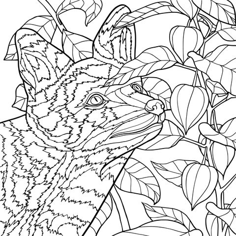 Cute Fox with Red Fruits and Green Leaves Coloring Page