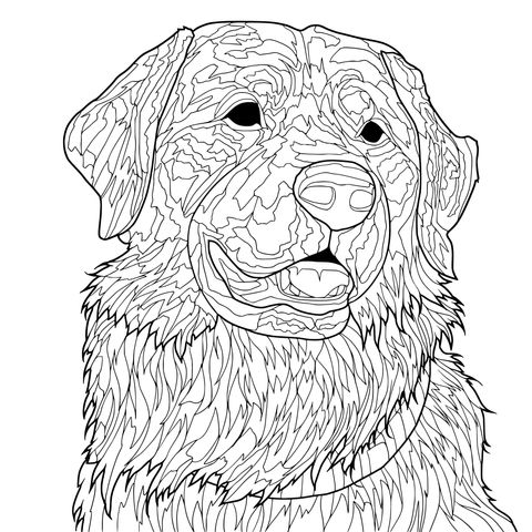 Dibujo para colorear de un adorable Golden Retriever