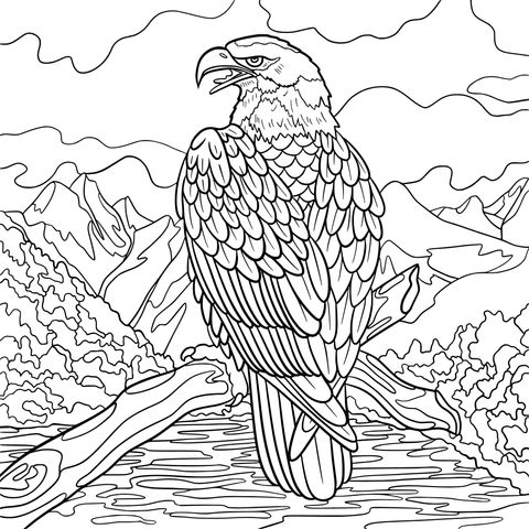 Eagle Landscape Coloring Page: Depict an Eagle Perched in the Mountains and Waters