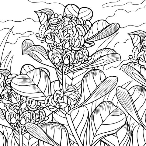 Flower Coloring Page: Beautiful Flowers and Green Leaves