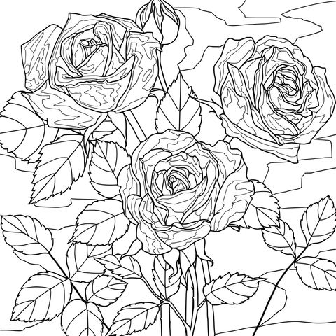 Página de Colorir de Rosas Coloridas