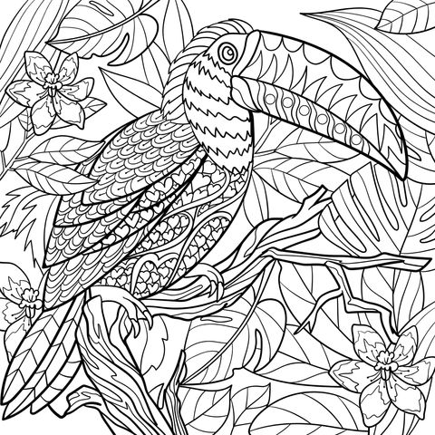 Toucan Coloring Page: A Beautiful Bird in the Colorful Jungle