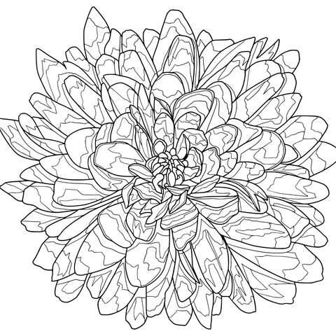 Vibrant Flower Coloring Page