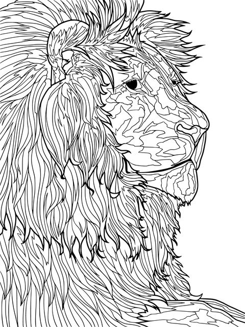 Portrait of a Lion