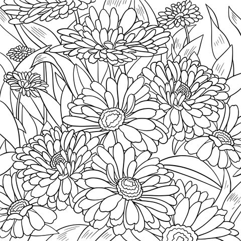 Colorful Flower Coloring Page