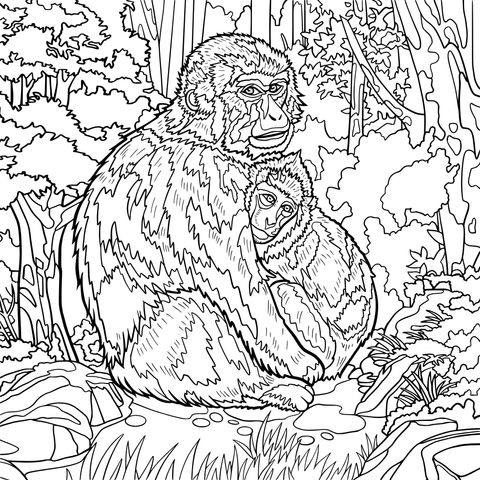 Coloring Page of a Mother Monkey and a Baby Monkey in the Forest