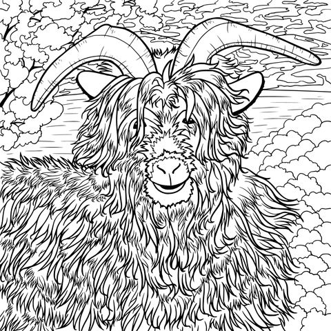 Hairy Goat